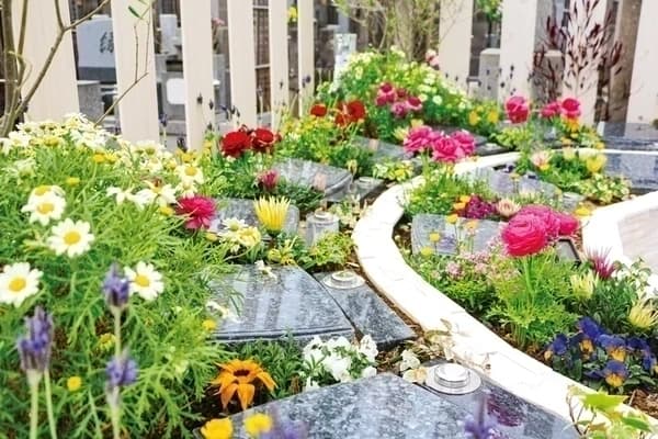 合祀しない樹木葬はある？→ 集合型と個別型なら合祀されません（条件あり）