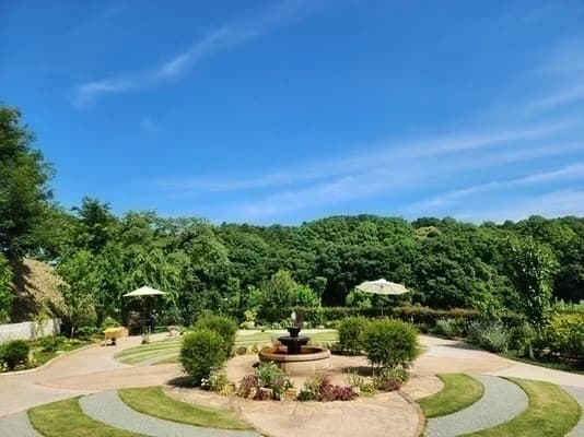 安い樹木葬にはどんな特徴がある？｜費用相場・デメリットも解説