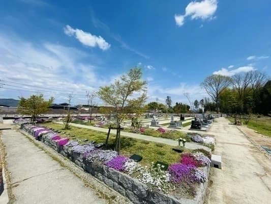 【2025年版】樹木葬とは？種類・費用・メリット・注意点をわかりやすく解説