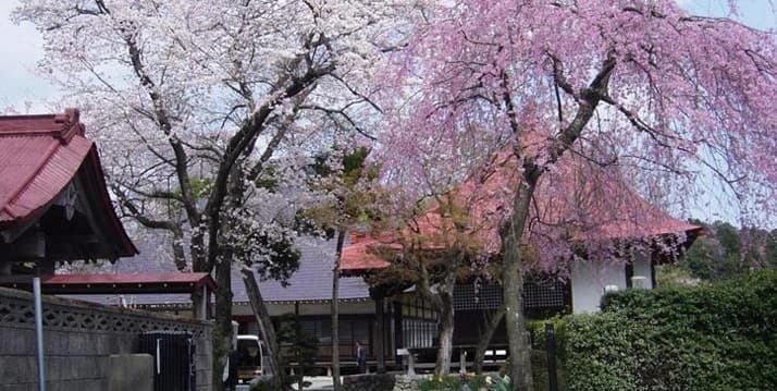 西光寺墓苑 せせらぎの里