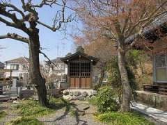 陽向寺