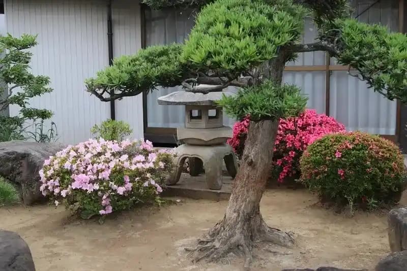 綺麗な植栽