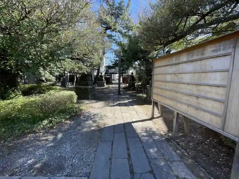 金蓮院