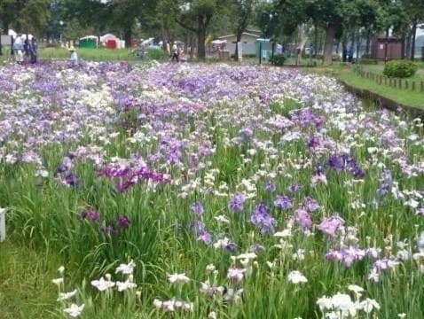 水元公園ともしびの郷 樹木葬