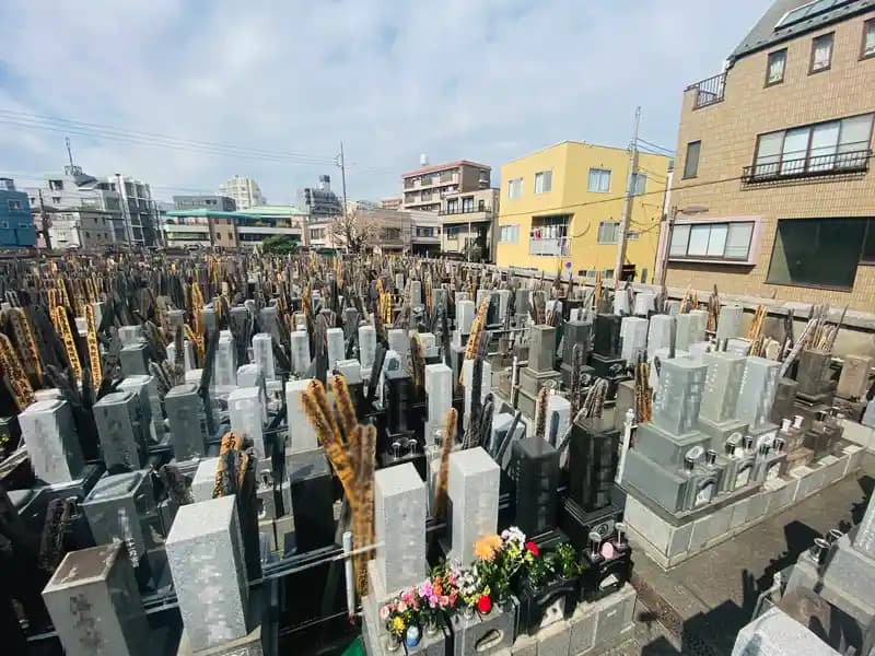 墓域