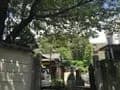 善正寺 のうこつぼ