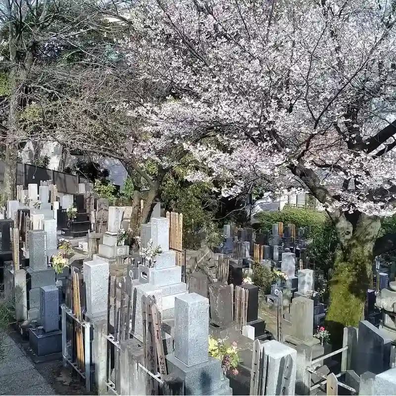 陽壽院