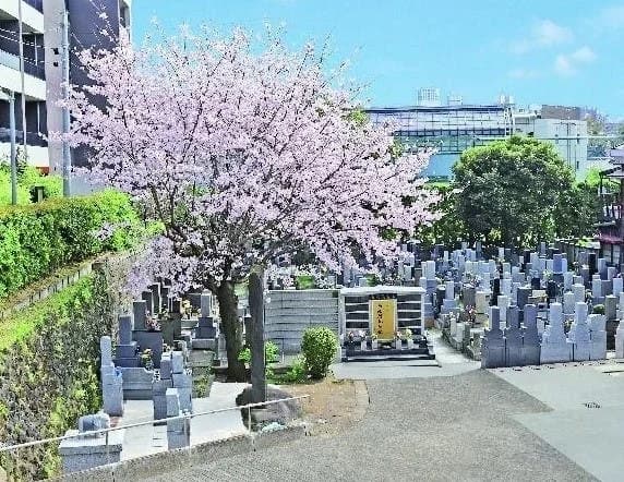 高輪正源寺 永代供養墓
