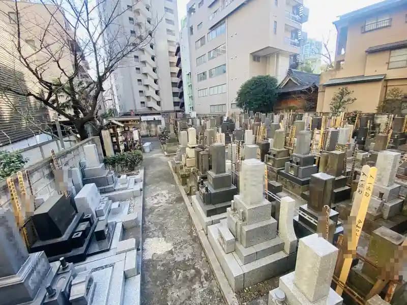 天陽院