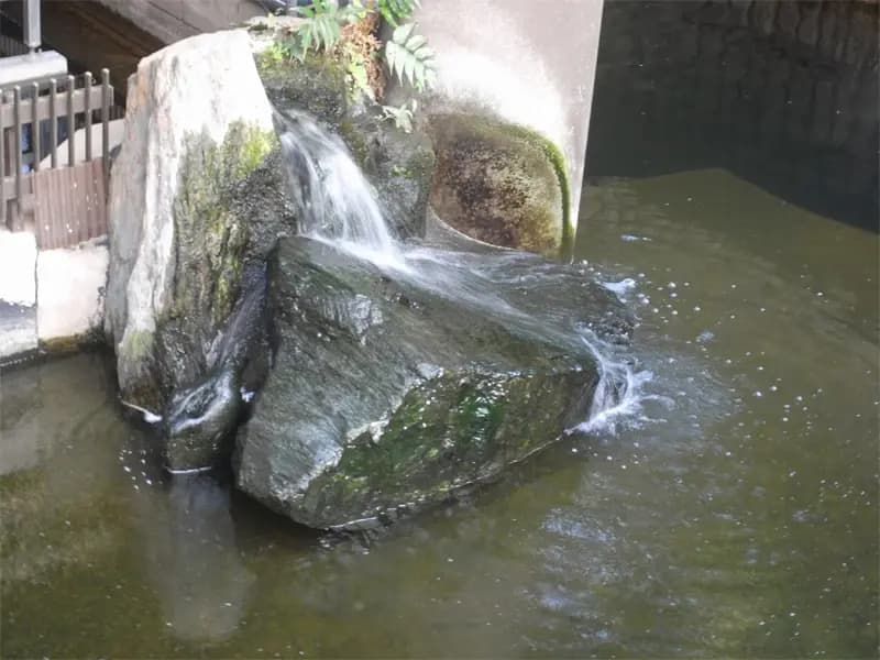 妙善寺墓苑