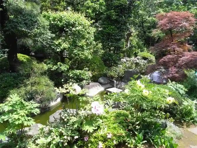 雰囲気のある庭園には池があります