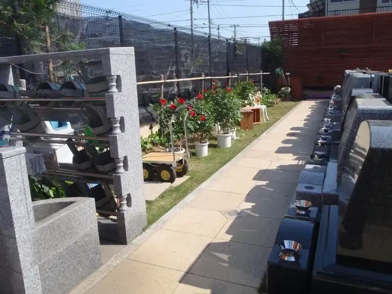 水汲み場と植物