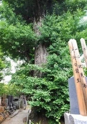幸國寺