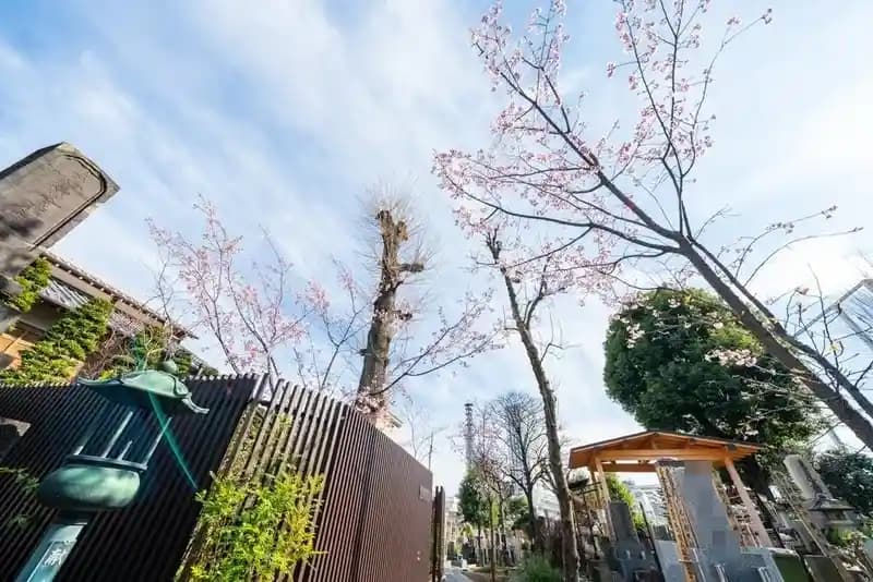 恵光メモリアル新宿浄苑