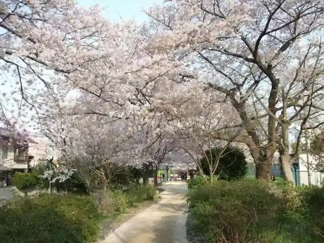 覚蔵寺