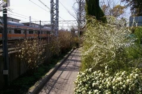 慈雲山 荻寺 光明院