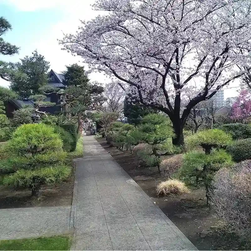 妙祐寺