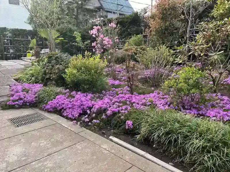 萬福寺写真02