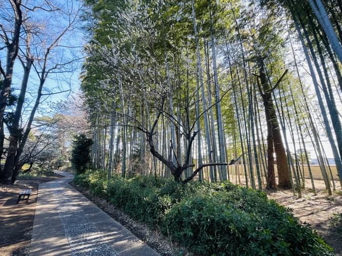 本覺山 妙壽寺