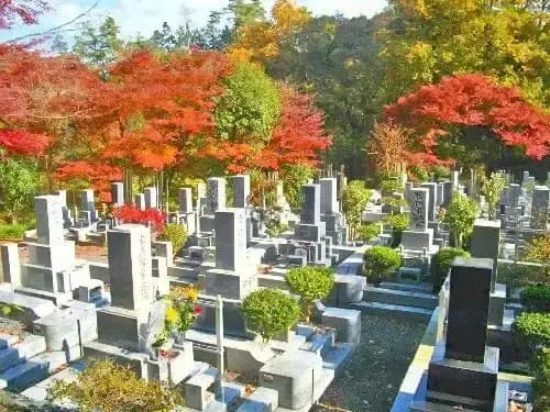 光華園霊園　樹木葬・永代供養墓