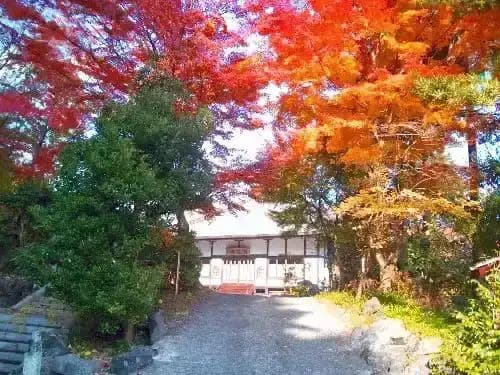 光華園霊園　樹木葬・永代供養墓