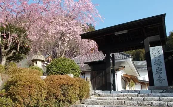 入口