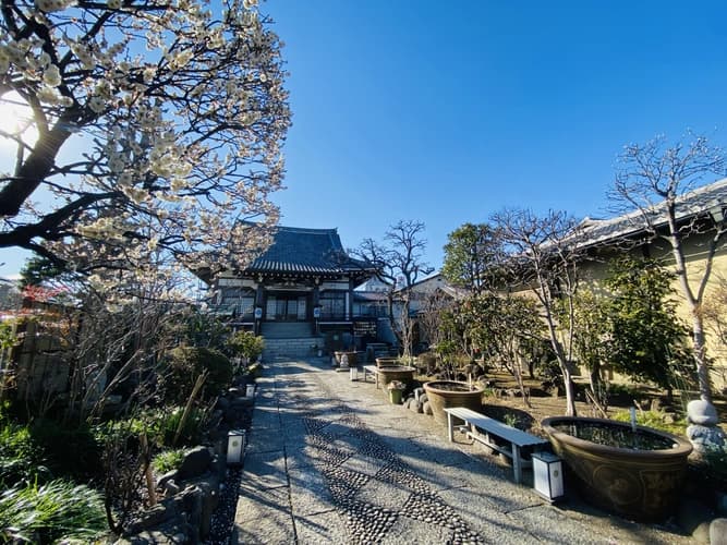 實性寺