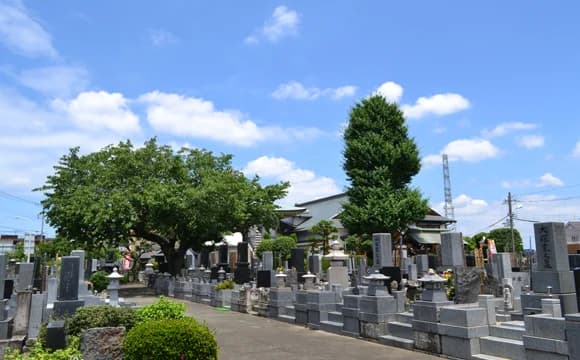 真明寺
