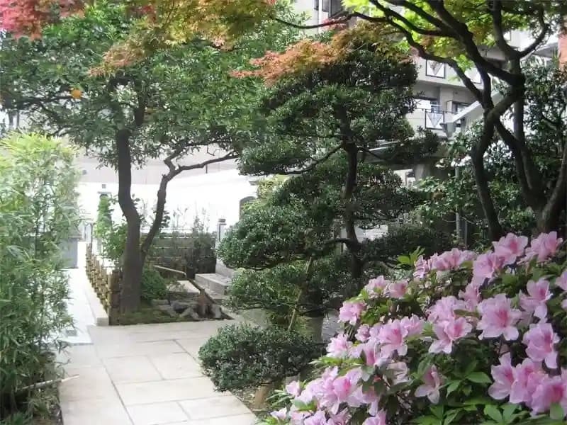 壽仙院（寿仙院）