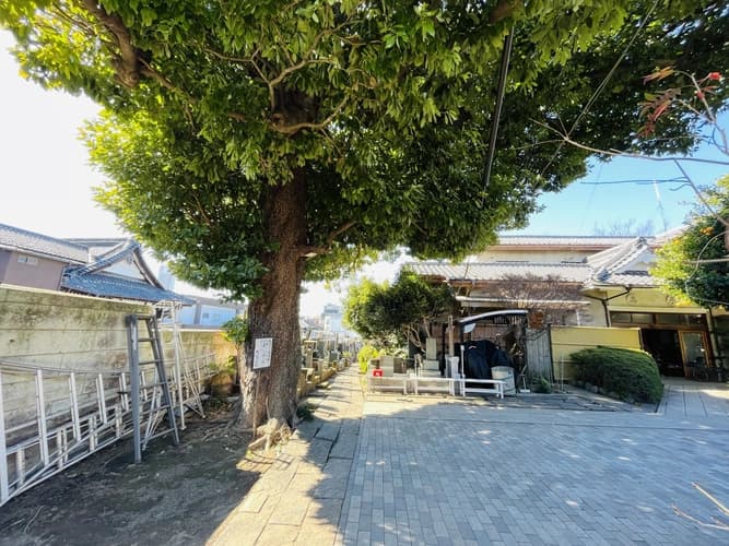 佛心寺