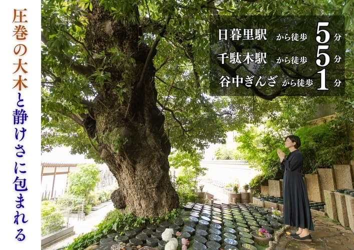 谷中樹陵 久遠・長明寺樹木葬