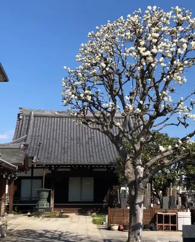 【谷中ガーデン墓地】花壇墓園
