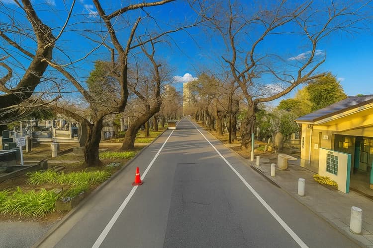 都立 谷中霊園