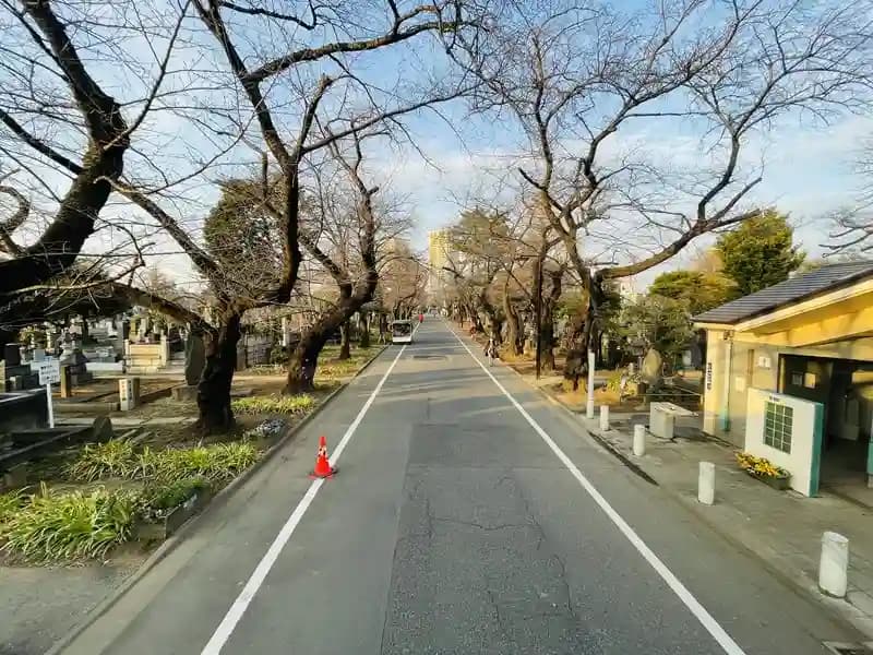 都立 谷中霊園