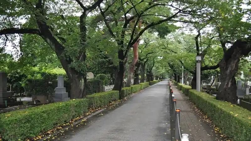 都立 谷中霊園