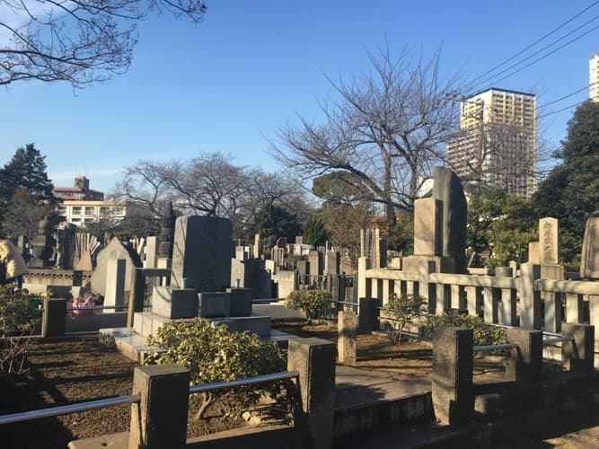 都立 谷中霊園