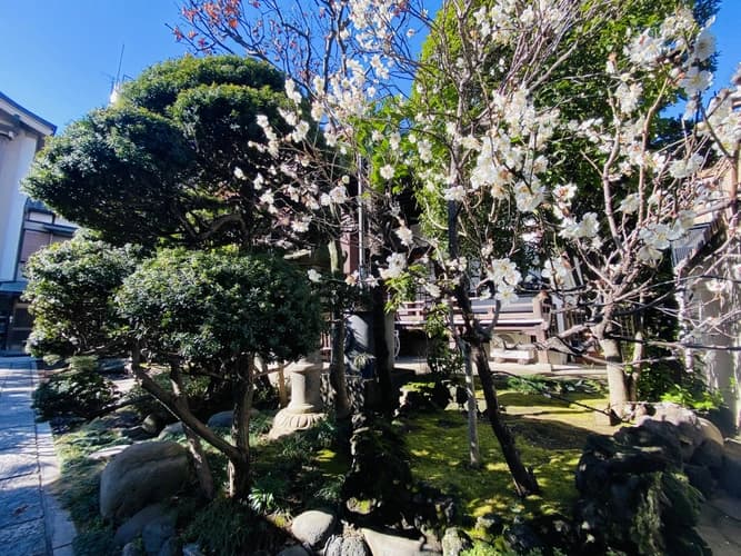 成就院