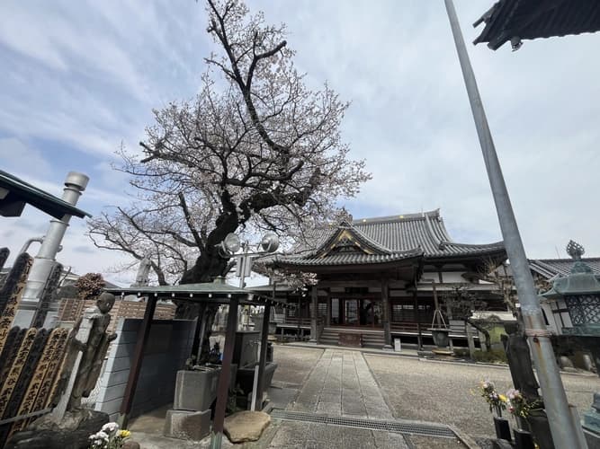 せせらぎ霊園