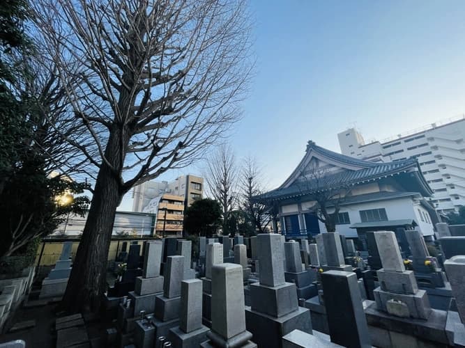 正見寺 樹木葬・一般墓