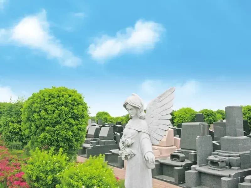 日当たりの良い園内