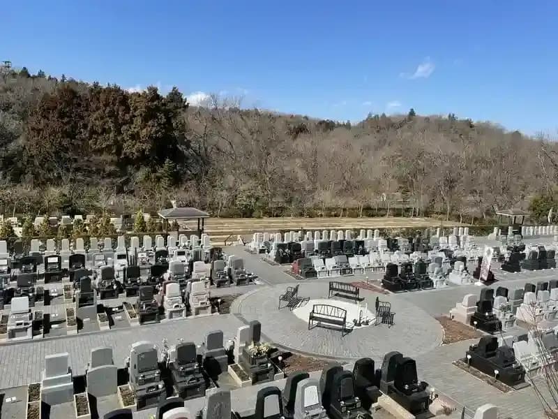 全景