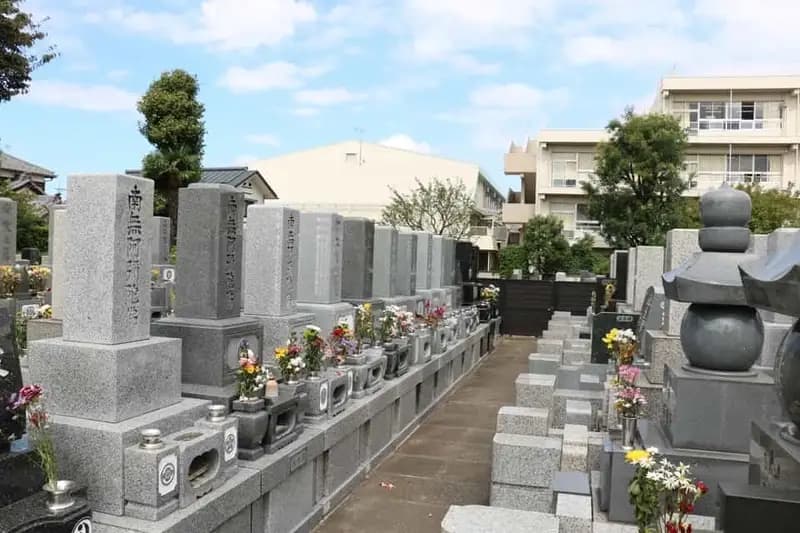 区域