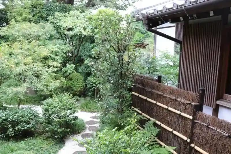 庭の緑
