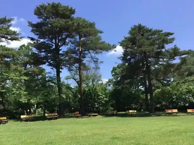都立 小平霊園