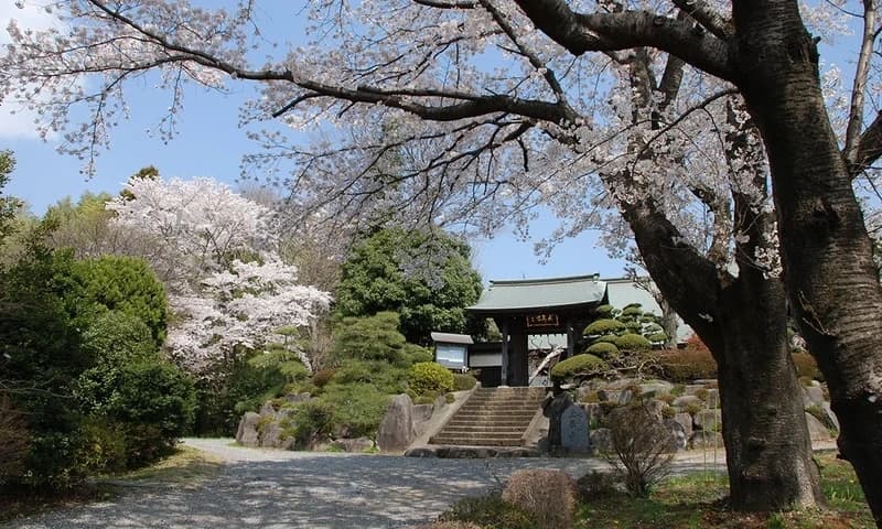 玉泉寺