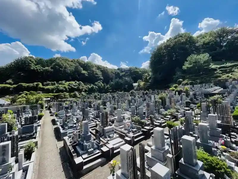 多くの自然