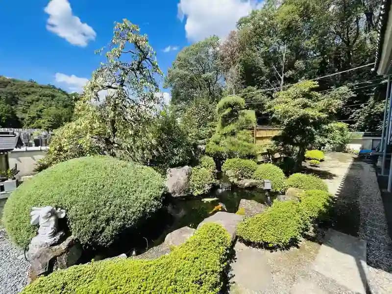 園内の池には鯉が泳いでる
