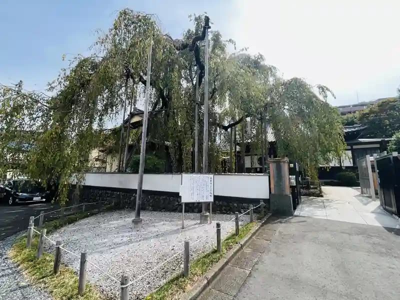 高楽寺
