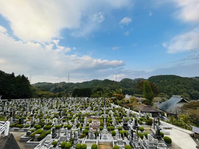 墓地全景