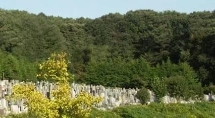少林寺聖地霊園